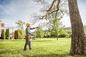 Leaf Removal in Davidson, NC